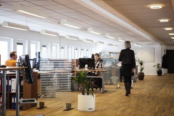Découvrez les fondements des valeurs en entreprise