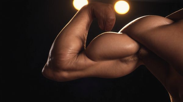 Découvrez l'expertise inégalée du musclé du web en 2023